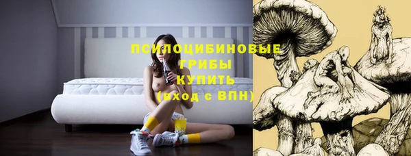 прущая мука Абаза